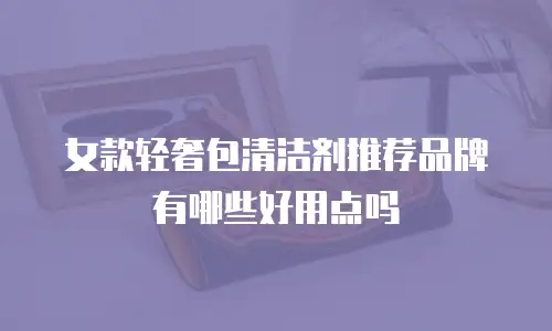 女款轻奢包清洁剂推荐品牌有哪些好用点吗