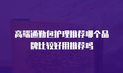 高端通勤包护理推荐哪个品牌比较好用推荐吗