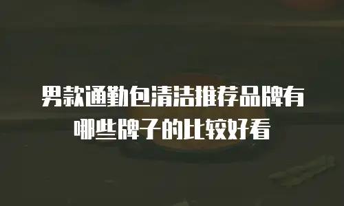 男款通勤包清洁推荐品牌有哪些牌子的比较好看