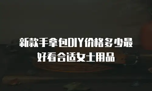 新款手拿包DIY价格多少最好看合适女士用品