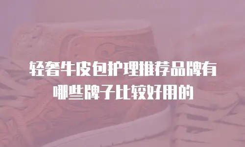 轻奢牛皮包护理推荐品牌有哪些牌子比较好用的