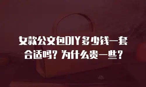 女款公文包DIY多少钱一套合适吗？为什么贵一些？