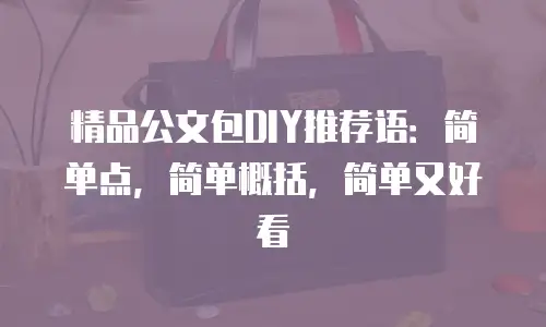 精品公文包DIY推荐语：简单点，简单概括，简单又好看