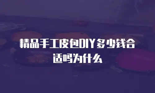精品手工皮包DIY多少钱合适吗为什么