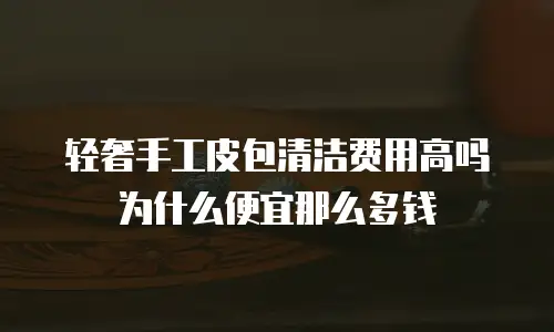 轻奢手工皮包清洁费用高吗为什么便宜那么多钱