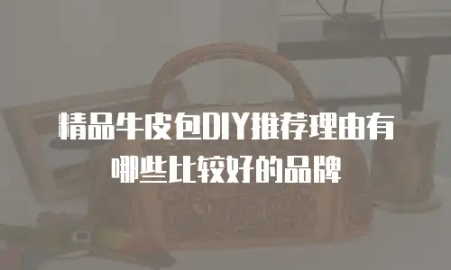 精品牛皮包DIY推荐理由有哪些比较好的品牌