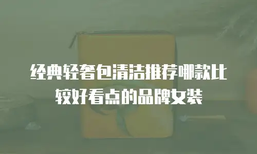 经典轻奢包清洁推荐哪款比较好看点的品牌女装