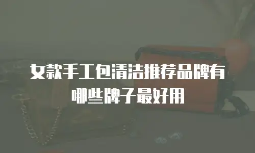 女款手工包清洁推荐品牌有哪些牌子最好用