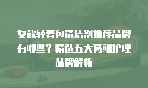 女款轻奢包清洁剂推荐品牌有哪些？精选五大高端护理品牌解析