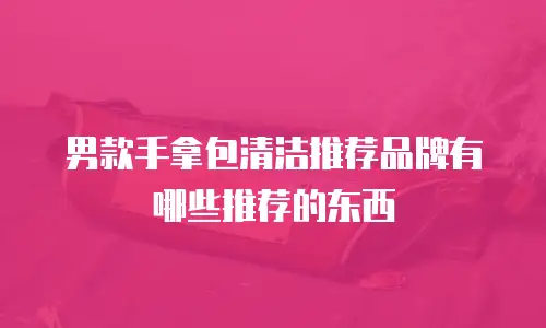 男款手拿包清洁推荐品牌有哪些推荐的东西