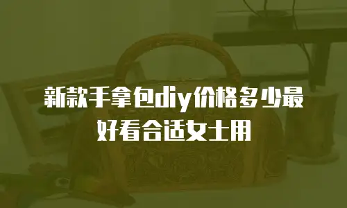 新款手拿包diy价格多少最好看合适女士用