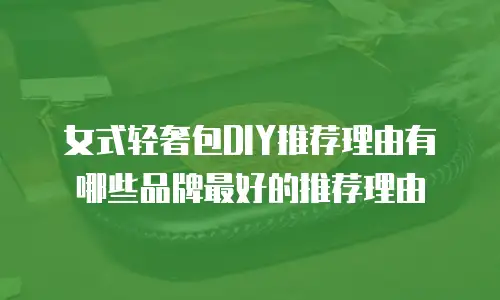 女式轻奢包DIY推荐理由有哪些品牌最好的推荐理由