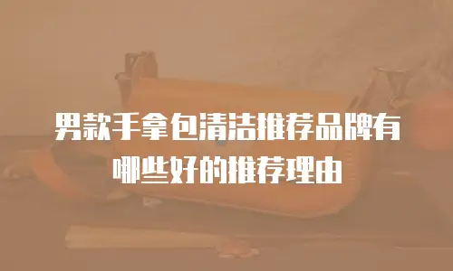 男款手拿包清洁推荐品牌有哪些好的推荐理由