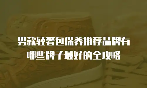男款轻奢包保养推荐品牌有哪些牌子最好的全攻略