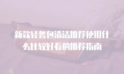 新款轻奢包清洁推荐使用什么比较好看的推荐指南