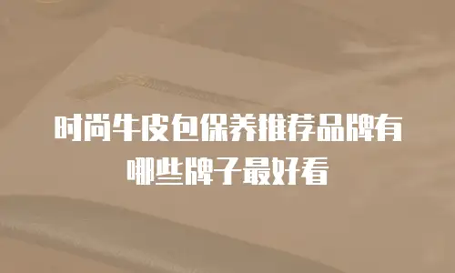 时尚牛皮包保养推荐品牌有哪些牌子最好看