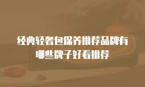 经典轻奢包保养推荐品牌有哪些牌子好看推荐