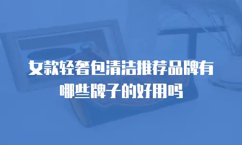 女款轻奢包清洁推荐品牌有哪些牌子的好用吗