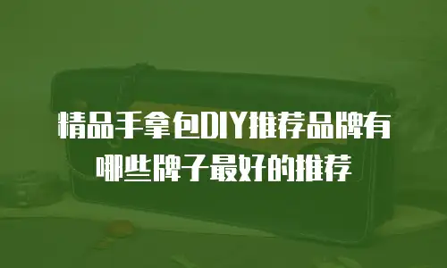精品手拿包DIY推荐品牌有哪些牌子最好的推荐