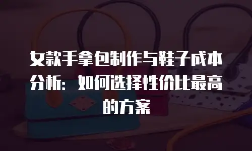 女款手拿包制作与鞋子成本分析：如何选择性价比最高的方案