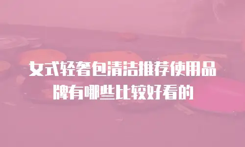 女式轻奢包清洁推荐使用品牌有哪些比较好看的