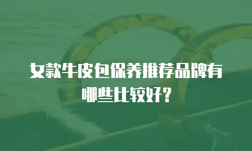 女款牛皮包保养推荐品牌有哪些比较好？