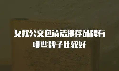 女款公文包清洁推荐品牌有哪些牌子比较好
