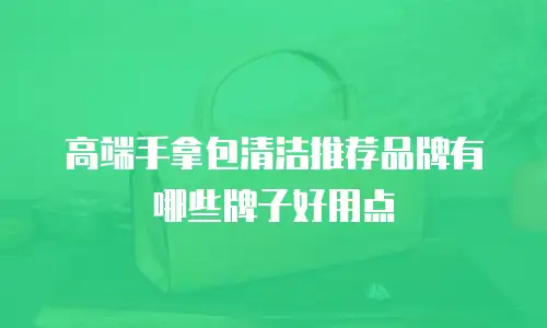 高端手拿包清洁推荐品牌有哪些牌子好用点