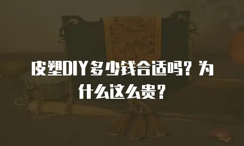 皮塑DIY多少钱合适吗？为什么这么贵？