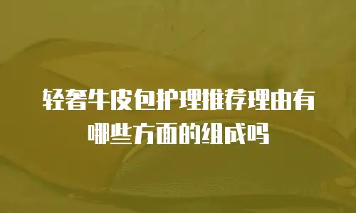 轻奢牛皮包护理推荐理由有哪些方面的组成吗