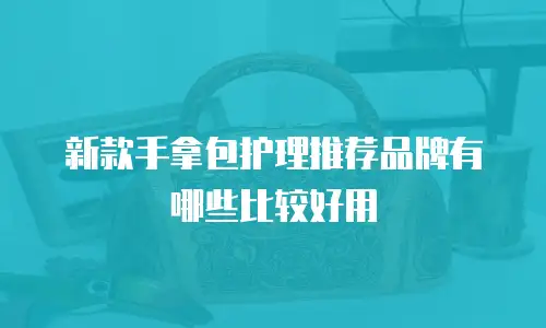 新款手拿包护理推荐品牌有哪些比较好用