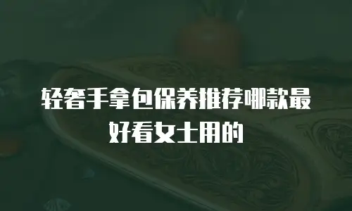 轻奢手拿包保养推荐哪款最好看女士用的