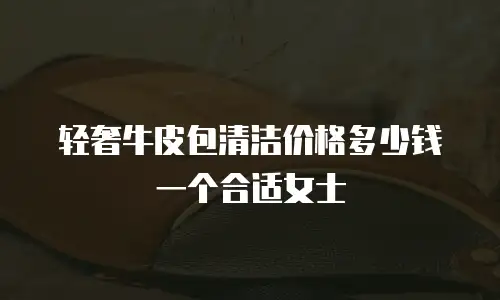 轻奢牛皮包清洁价格多少钱一个合适女士