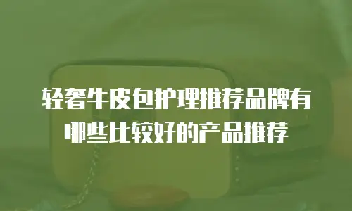 轻奢牛皮包护理推荐品牌有哪些比较好的产品推荐