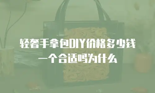 轻奢手拿包DIY价格多少钱一个合适吗为什么