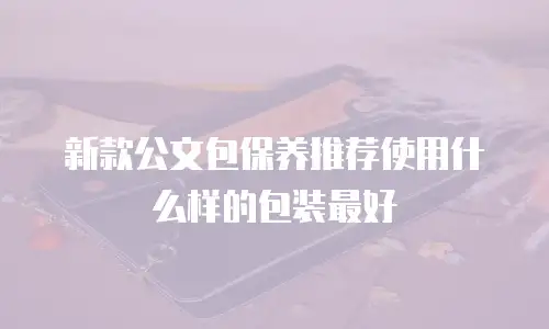 新款公文包保养推荐使用什么样的包装最好