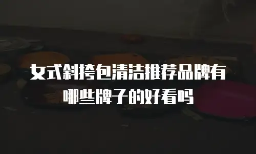 女式斜挎包清洁推荐品牌有哪些牌子的好看吗