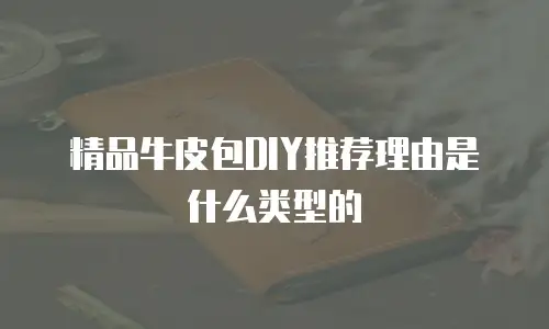 精品牛皮包DIY推荐理由是什么类型的