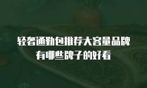 轻奢通勤包推荐大容量品牌有哪些牌子的好看