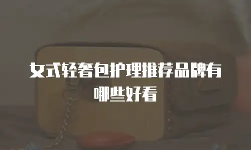 女式轻奢包护理推荐品牌有哪些好看