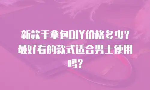 新款手拿包DIY价格多少？最好看的款式适合男士使用吗？