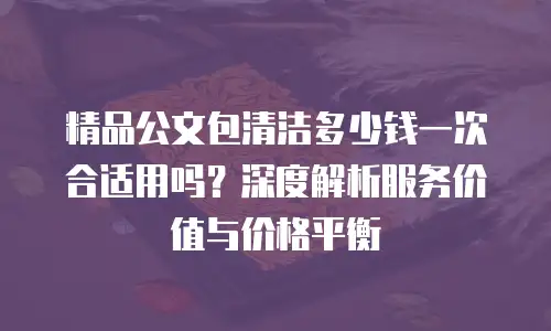 精品公文包清洁多少钱一次合适用吗？深度解析服务价值与价格平衡