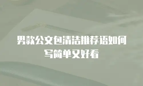 男款公文包清洁推荐语如何写简单又好看