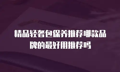 精品轻奢包保养推荐哪款品牌的最好用推荐吗