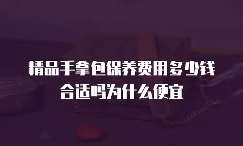 精品手拿包保养费用多少钱合适吗为什么便宜