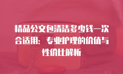 精品公文包清洁多少钱一次合适用：专业护理的价值与性价比解析