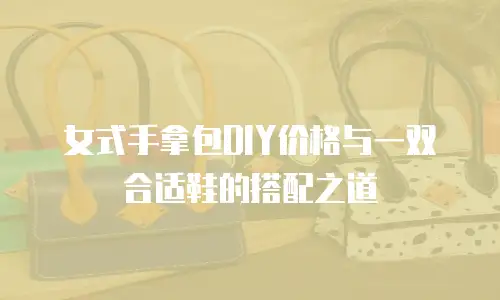 女式手拿包DIY价格与一双合适鞋的搭配之道