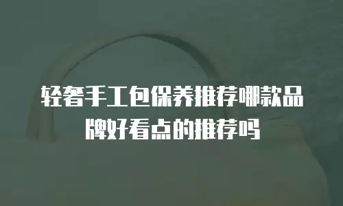 轻奢手工包保养推荐哪款品牌好看点的推荐吗
