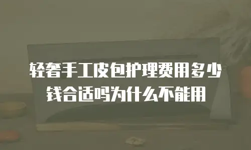 轻奢手工皮包护理费用多少钱合适吗为什么不能用