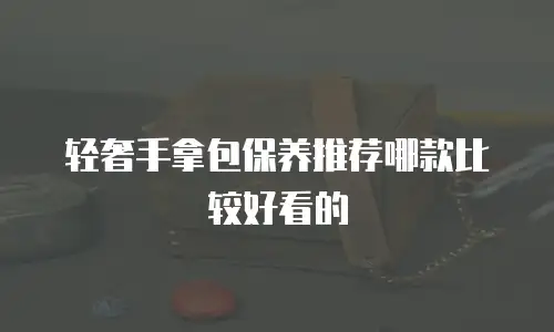轻奢手拿包保养推荐哪款比较好看的